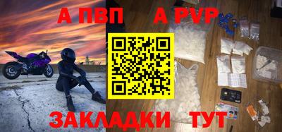 прущие грибы Гусиноозёрск
