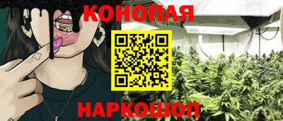 сатива Гусев