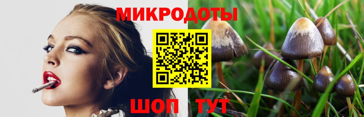где найти   Вход с VPN  Ленинск-Кузнецкий  Галлюциногенные грибы Cubensis 
